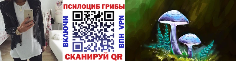 Галлюциногенные грибы Magic Shrooms  mega рабочий сайт  Новоржев 
